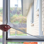 Tela de Proteção Anti Mosquito Max Guard - Proteja Sua Casa